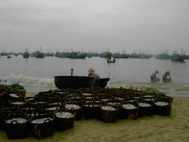 Fishing market II Travel Color (Digital)