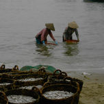 Vietnam thumbnail 2