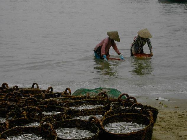 Fishing market III Travel Color (Digital)