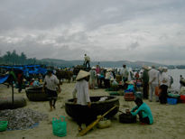 Fishing market IV