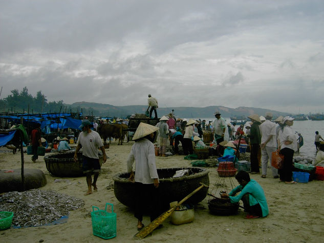 Fishing market IV Travel Color (Digital)