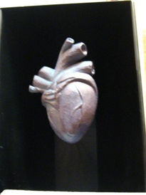 El corazon