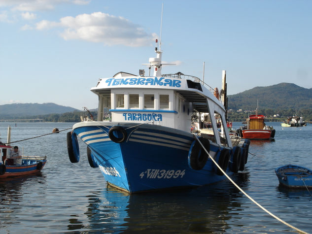 Barco pescador 