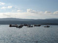 Barcos en la faena