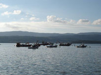 Barcos en la faena