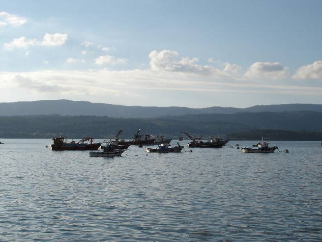 Barcos en la faena 