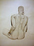 dib. anatomico