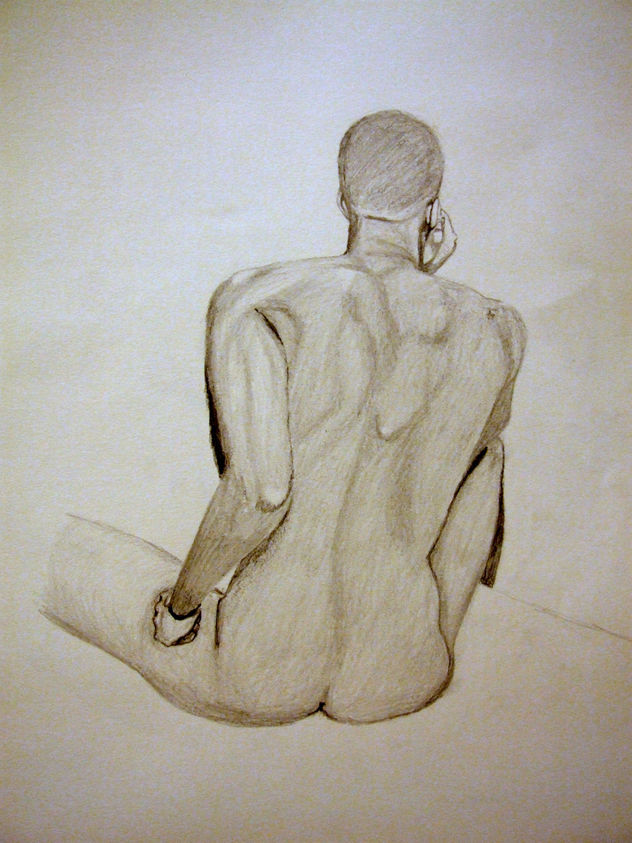 dib. anatomico
