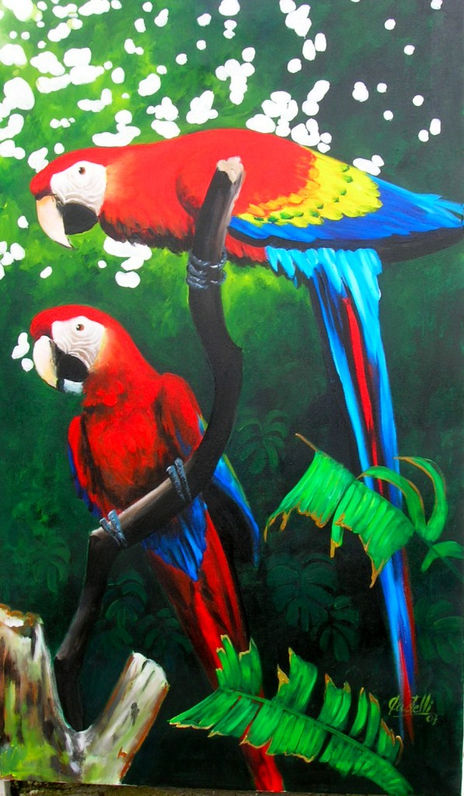 Guacamayas