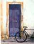 puerta con bici