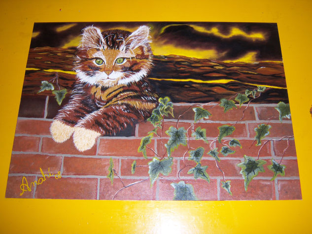 mi gatito Oil Canvas Animals