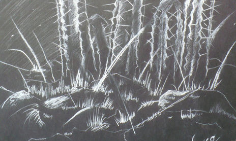 dibujos