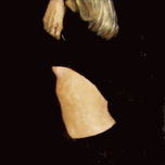 alicia thumbnail 1