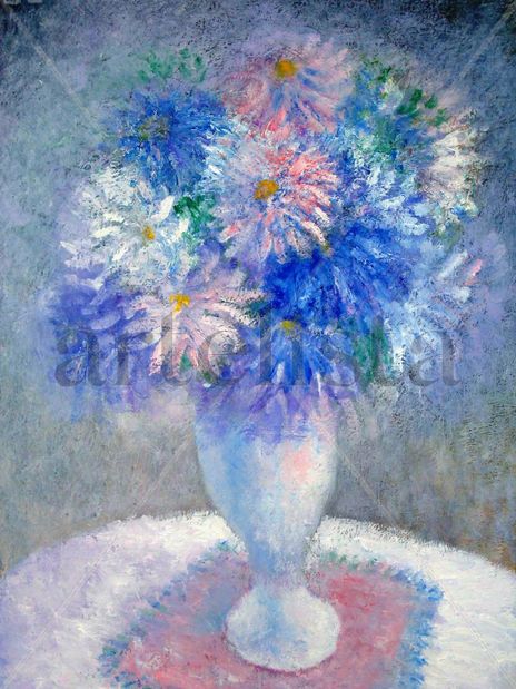 Aster