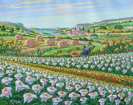 Campo di calle