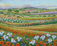 campo primaverile