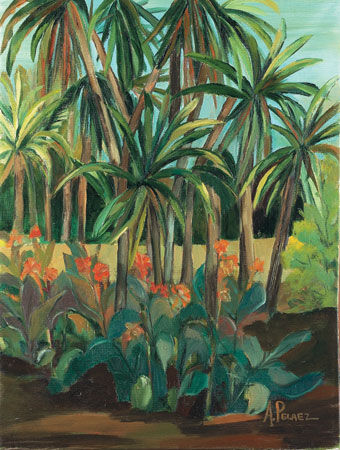 EL BOTANICO Oil Canvas