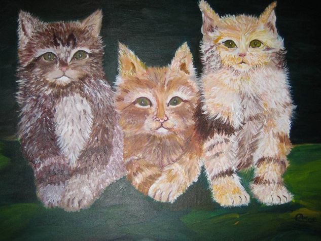 Gatos Acrylic Canvas Animals