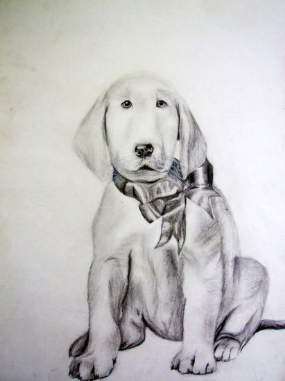 "Marley and me" Pencil