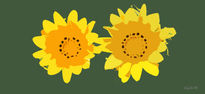 Girasoles