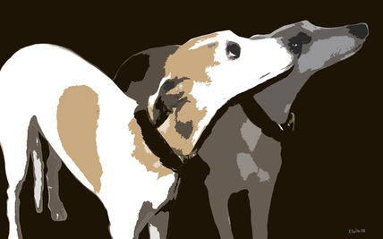 Lula y Coco