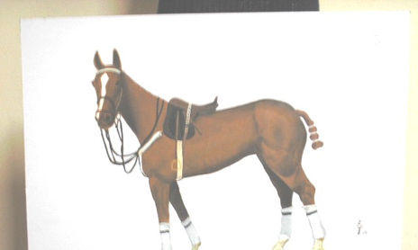 caballos