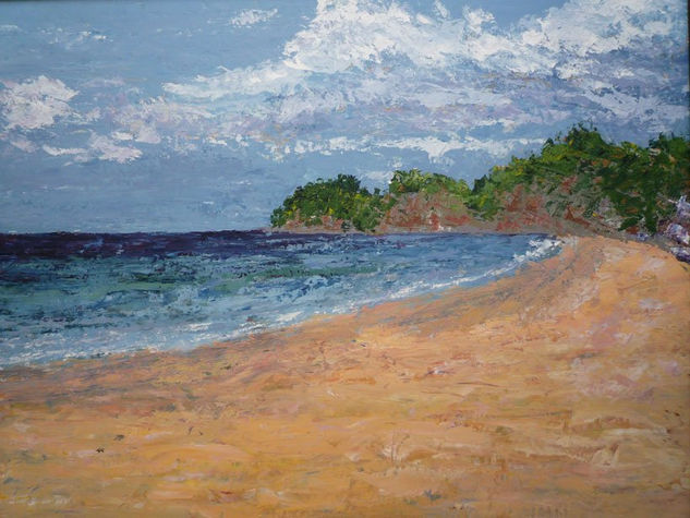 Playa desierta Acrylic Panel Landscaping