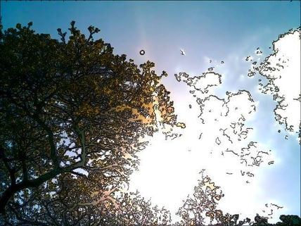 Luz solar