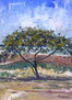 paisaje  marino