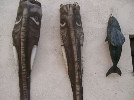 Elefantes y pez