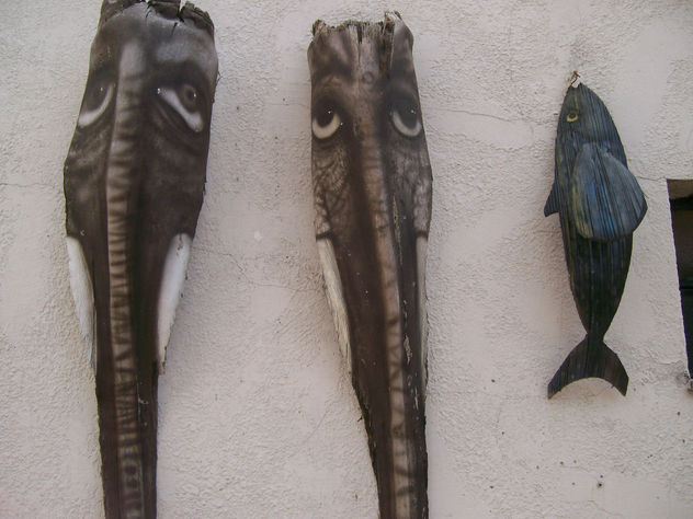 elefantes y pez