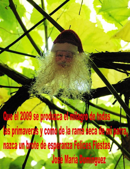 Felices fiestas