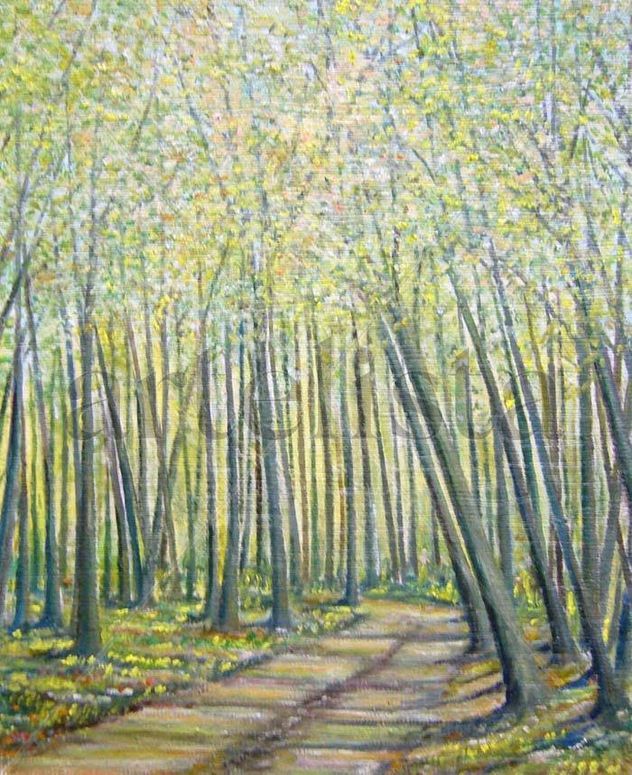 La Fageda d´En Jorda