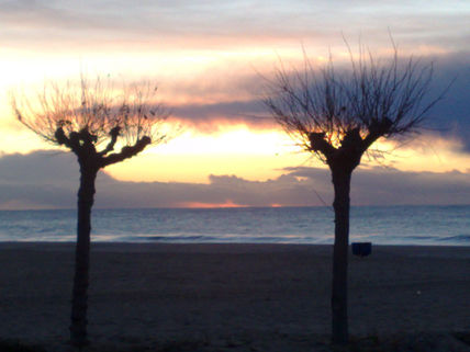 La llum de l'ombre