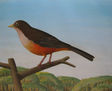 turdus rufiventris