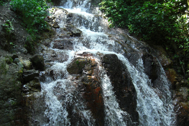 Agua bendita bendita Agua Naturaleza Color (Digital)