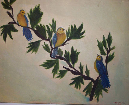 Pajaros