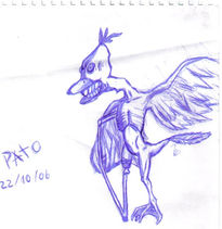 Pato