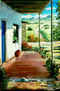 COLOR COSTARRICENSE