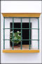 Ventana