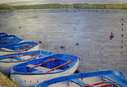 Barcas en banyoles
