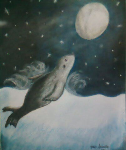 noche de foca