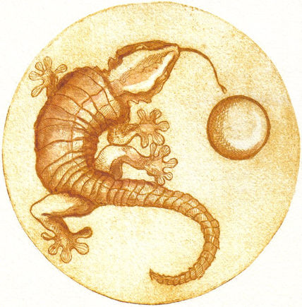 El saurrio y la luna
