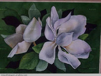 Magnolias