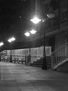 paseando en la noche