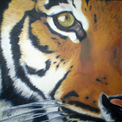 Tigre 2