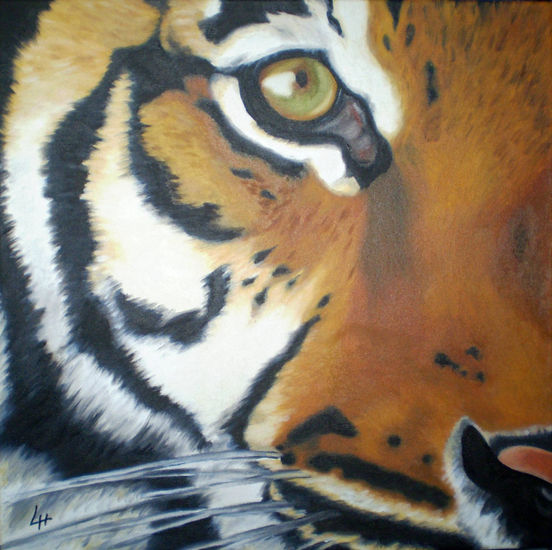 Tigre 2 Oil Canvas Animals