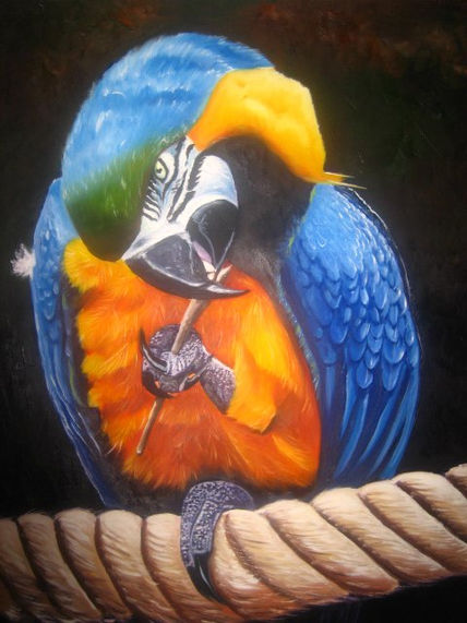 Aves