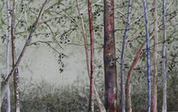 bosque