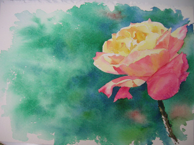 rosa Acuarela Papel Paisaje